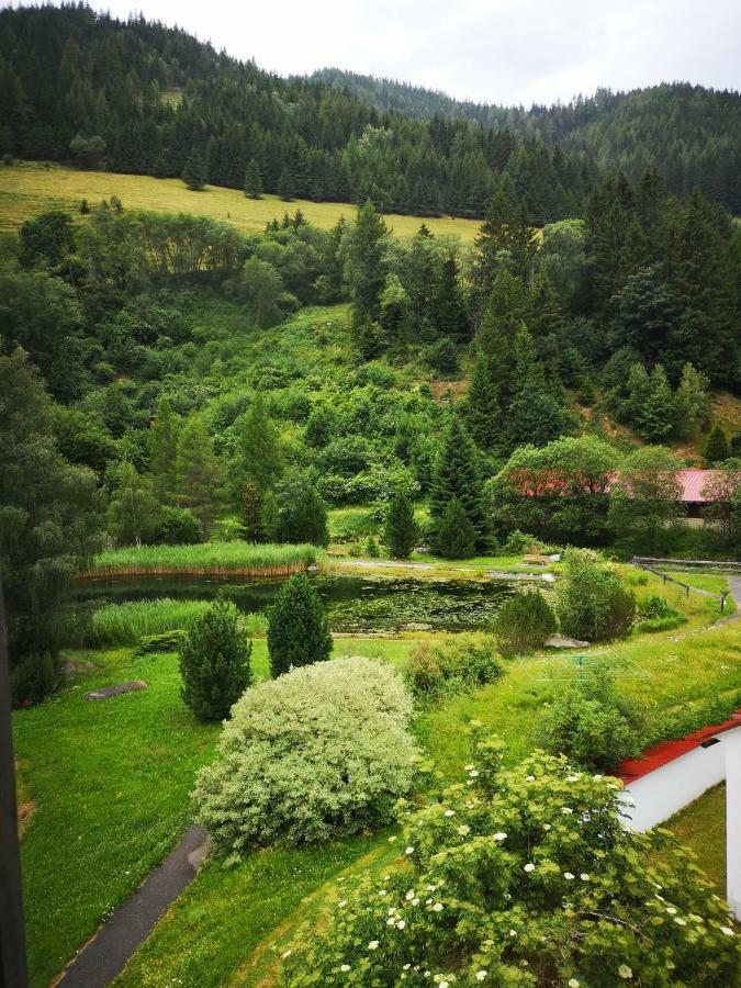 Grassegger Appartementhaus Sankt Johann am Tauern Exterior foto